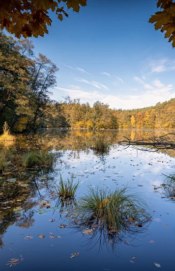 Naturpark Schlaubetal
