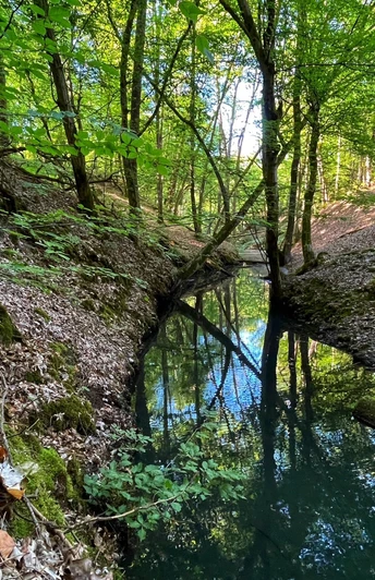 Rundweg Schlaubemühle