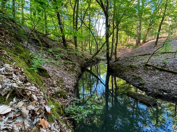 Rundweg Schlaubemühle