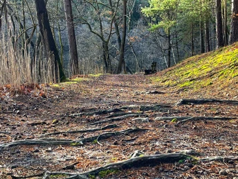 Rundweg Kupferhammer-Siehdichum