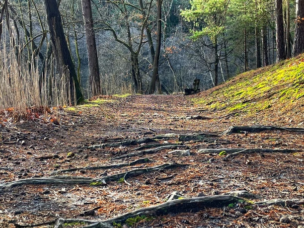 Rundweg Kupferhammer-Siehdichum