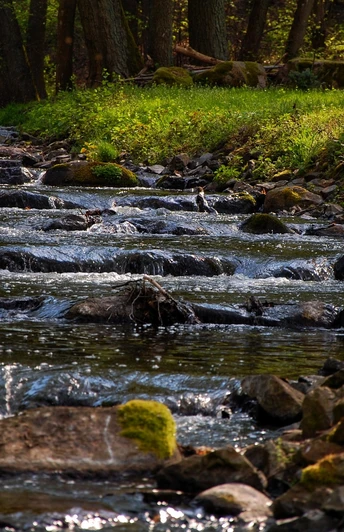 Rundweg Kupferhammer-Siehdichum