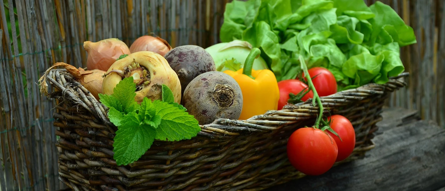 Foto: congerdesign-pixabay