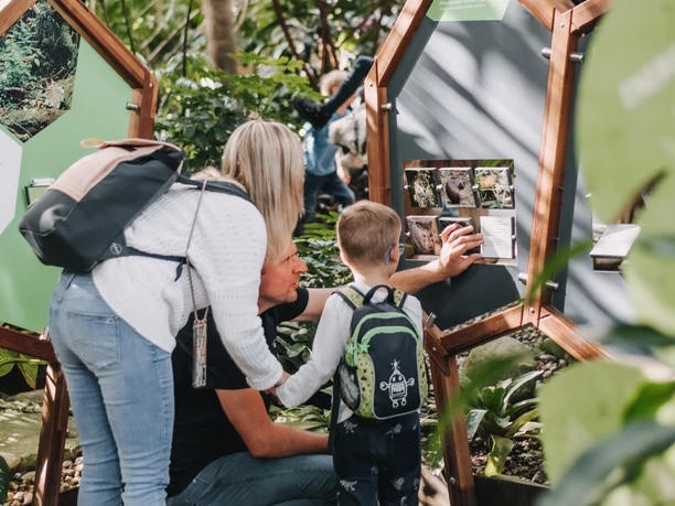 Ausstellung der Biosphäre Potsdam