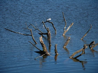 Rundweg Großer Treppelsee