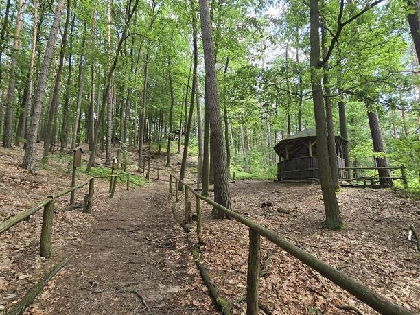 Schutzhütte am Försterblick
