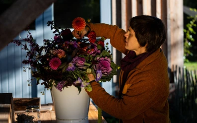 Kraut und Blüte im Herbst