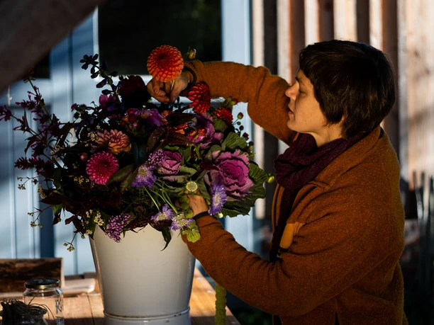 Kraut und Blüte im Herbst
