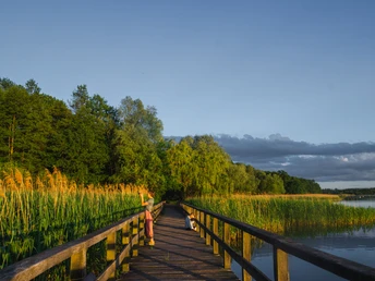 Vogelbeobachtung am Blankensee