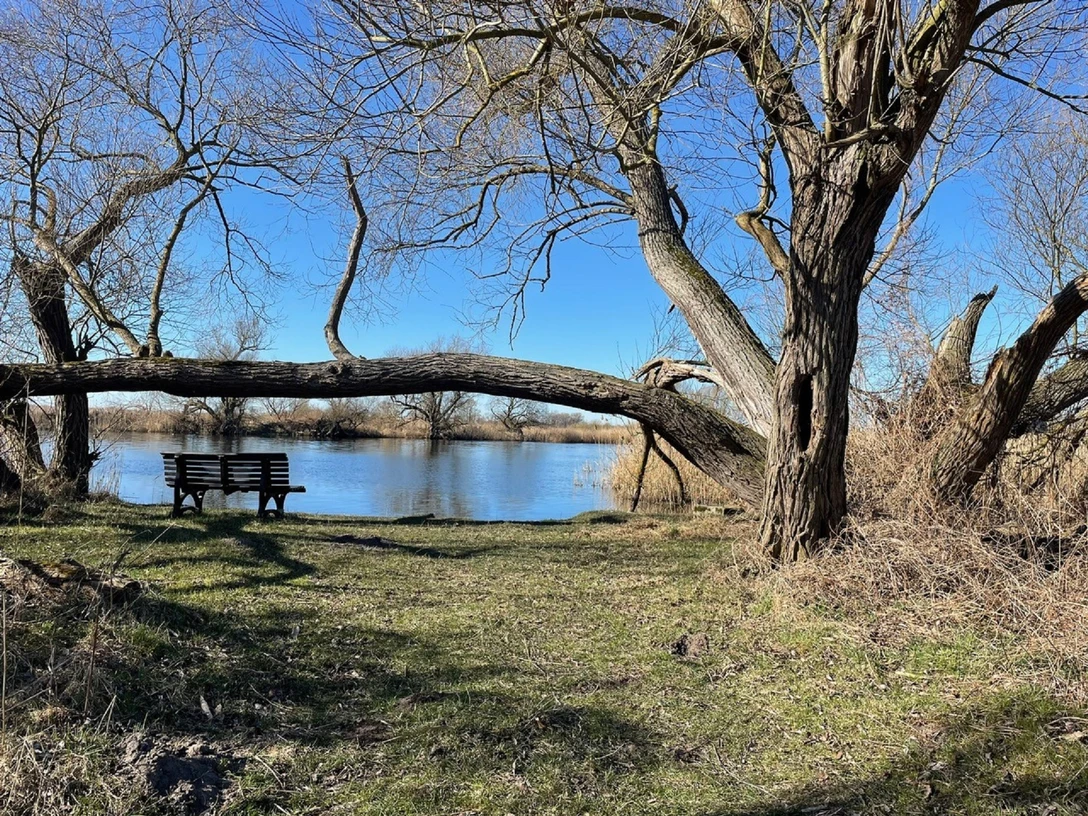 Kanurastplatz Döberitz-Gohlitz