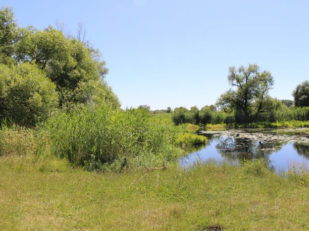 Kanurastplatz Döberitz-Heinigtsweg