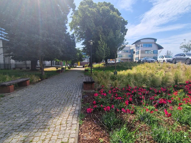 Platz der Doppelstadt - Skwer Dwumiejski