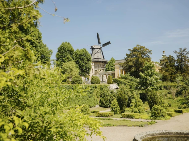 Historische Mühle von Sanssouci - Blick vom Park Sanssouci