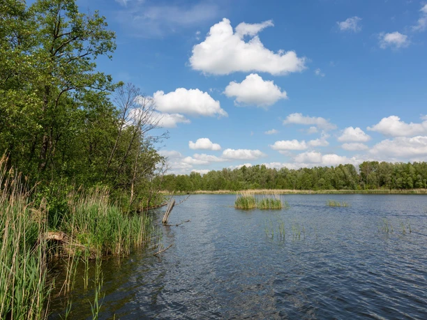 Kleiner Müllroser See