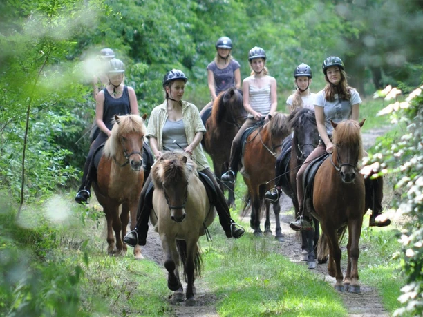 Ausritt durch den Wald