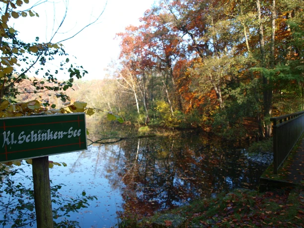 Schinkensee