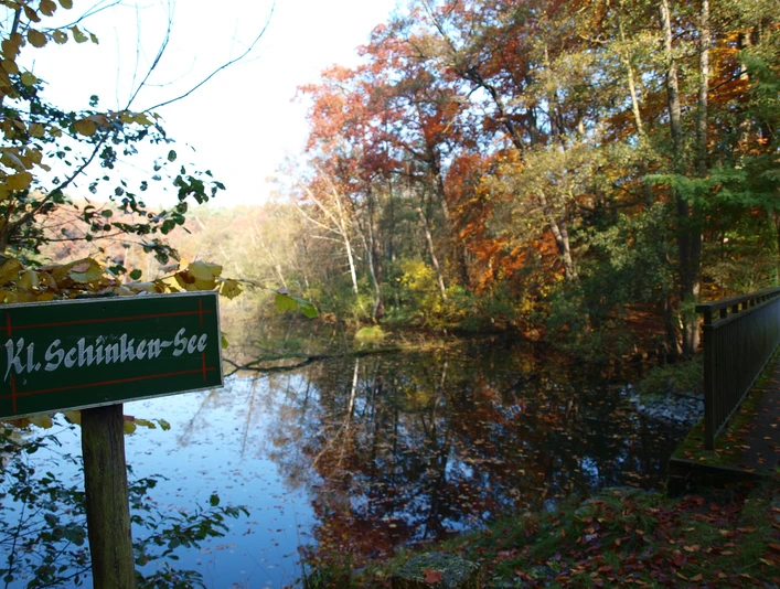 Schinkensee