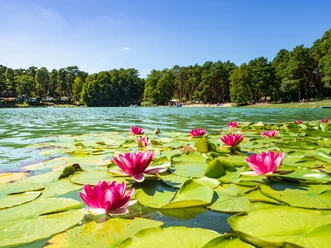 Schervenzsee