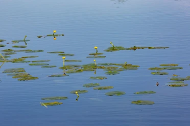 Blick auf den Katharinensee