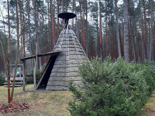 Köhlerplatz im Kaisermühler Forst