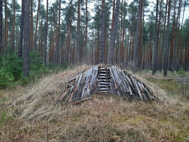 Köhlerplatz im Kaisermühler Forst