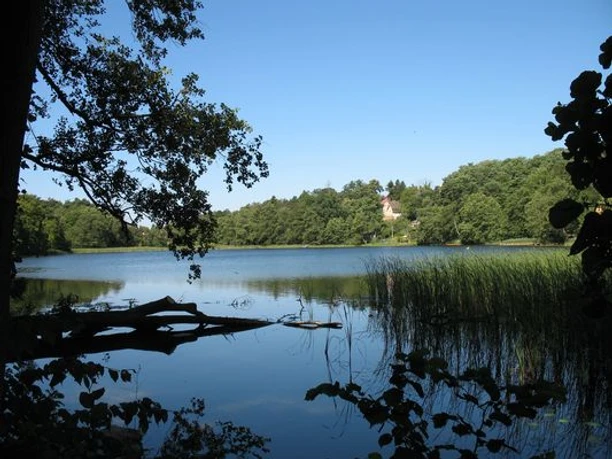 Der Große Däbersee