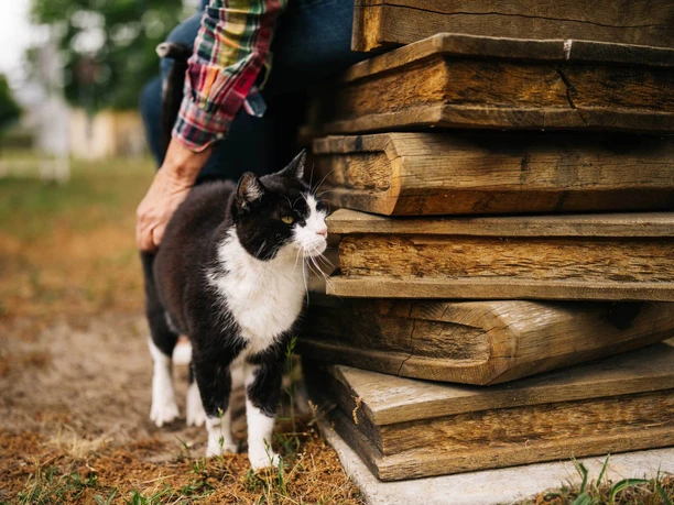 Bücherbank Rohrbeck