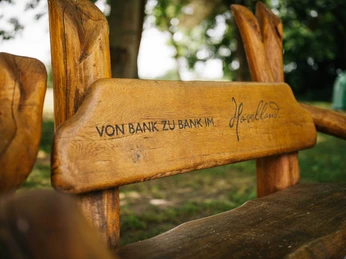 Bank im Rosengarten
