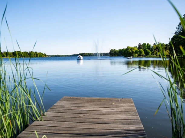 Großer Müllroser See