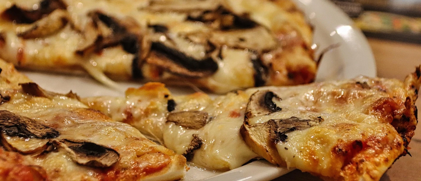 Foto: planet_fox, Lizenz: pixabay