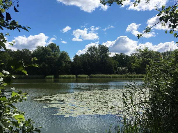 Falkensee - Falkenhagener See