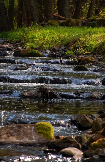 Fischtreppe Kupferhammer