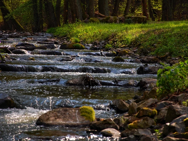 Fischtreppe Kupferhammer