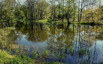 Schlosspark Plaue