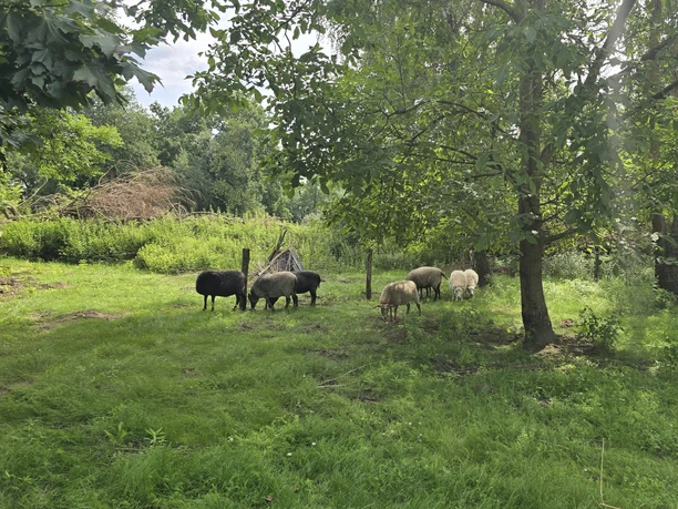 Erlenhof im Oderbruch