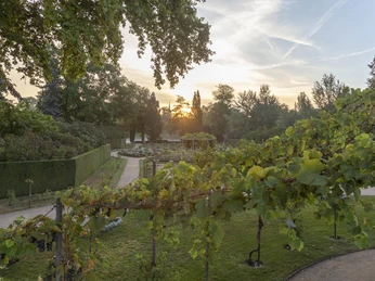 Schloss Charlottenhof, Blick auf den Rosengarten