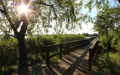 Blankensee Wassersteg