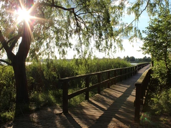 Blankensee Wassersteg