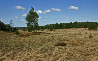 Naturlandschaft Döberitzer Heide