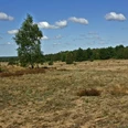 Naturlandschaft Döberitzer Heide
