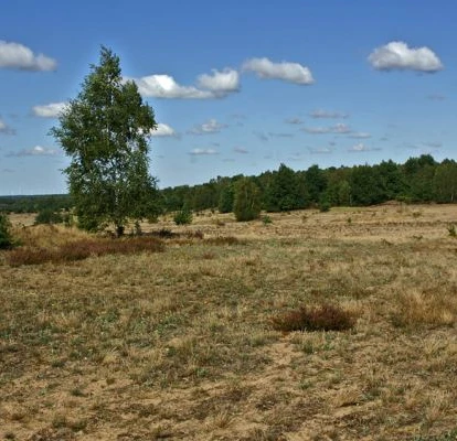 Naturlandschaft Döberitzer Heide