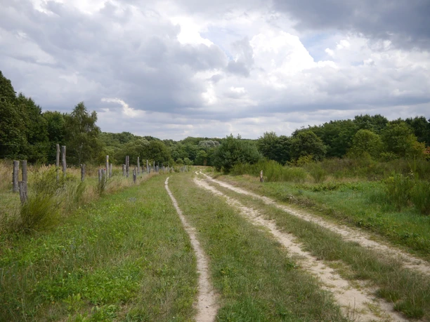 Rundwanderweg Döberitzer Heide