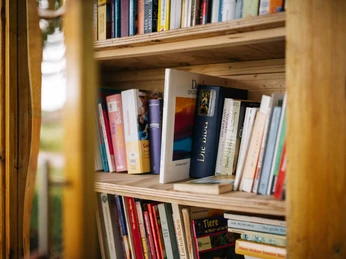 Bücherschrank in Ebereschenhof