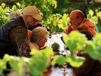 Werder (Havel), Weinverkostung