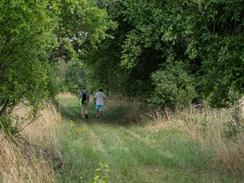 Rundwanderweg Beetzseeheide