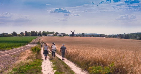Rundwanderweg Beetzseeheide