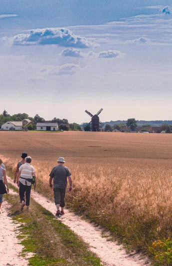 Rundwanderweg Beetzseeheide