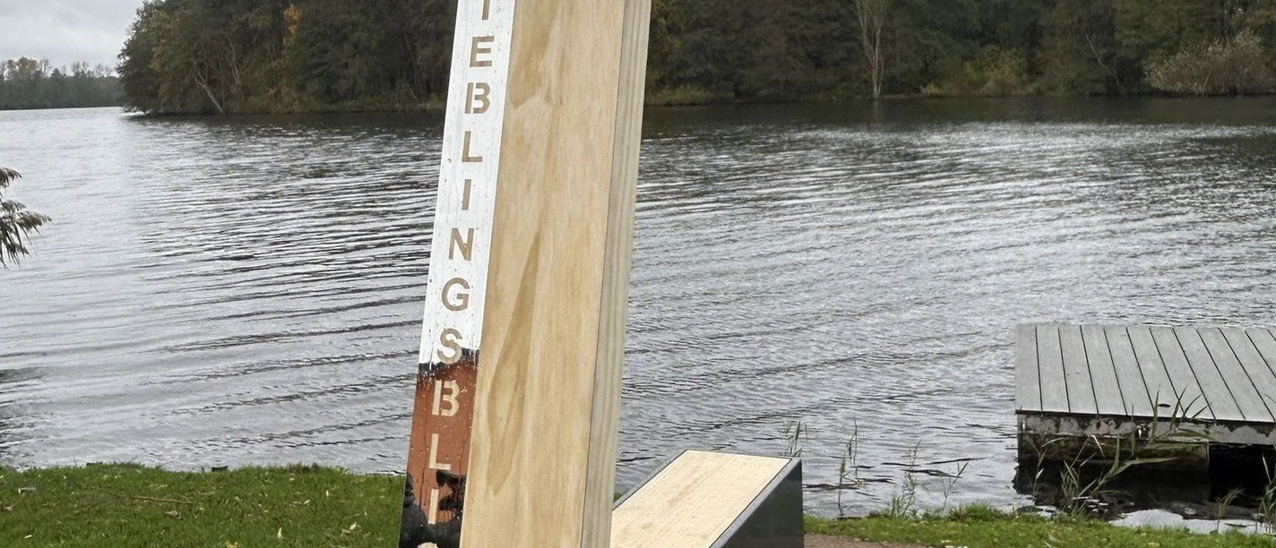 Lieblingsblick-Faehre Leißnitz