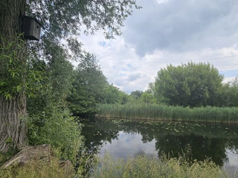 Friedrich-Wilhelm-Kanal