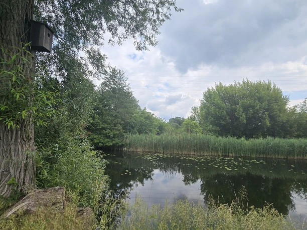 Friedrich-Wilhelm-Kanal